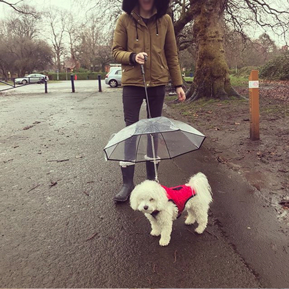 Transparent Dog Umbrella With Leash For Rainy Walks