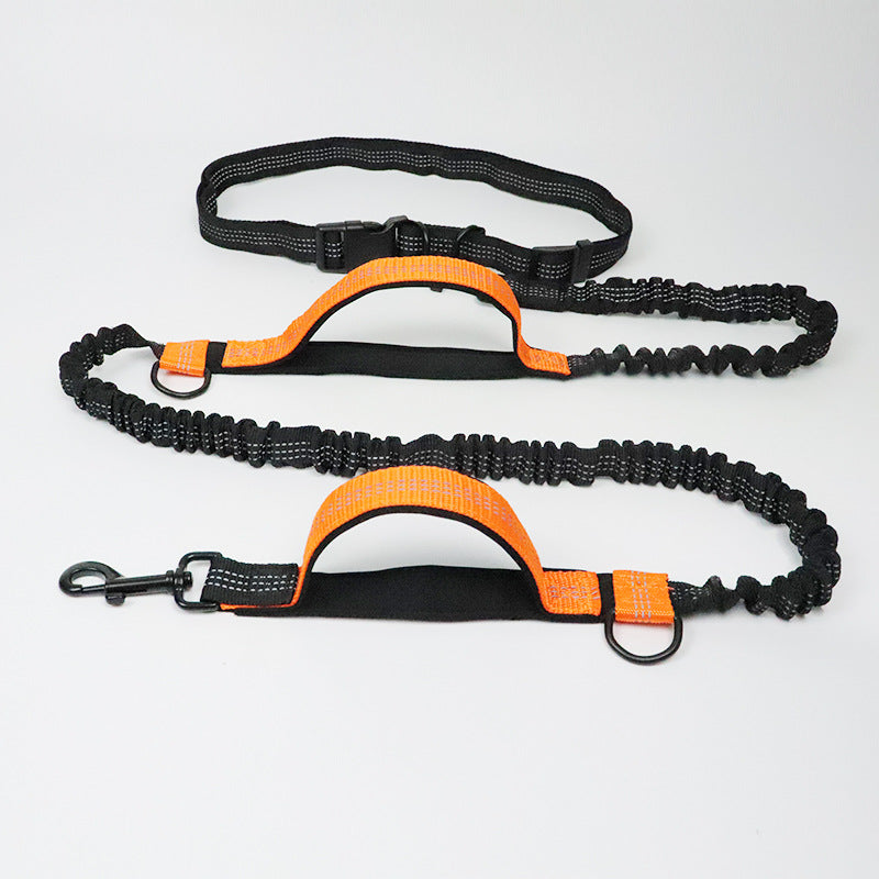 Reflective Double Elastic Dog Leash For Running And Training