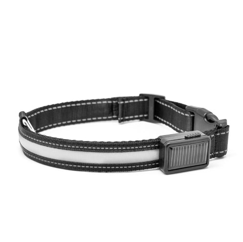 Fluorescent Dog Collar For Nighttime Visibility