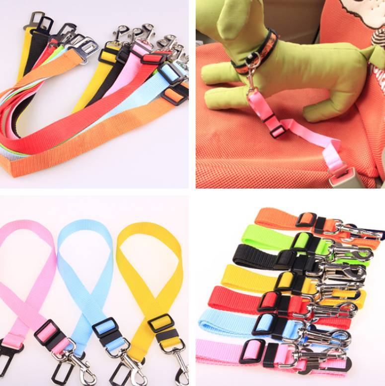 Durable Polyester Dog Leash With Fixed Strap For Daily Walks-Theone Apparel