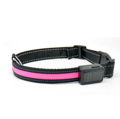 Fluorescent Dog Collar For Nighttime Visibility