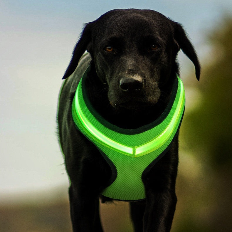 LED USB Rechargeable Dog Harness For Safety And Comfort