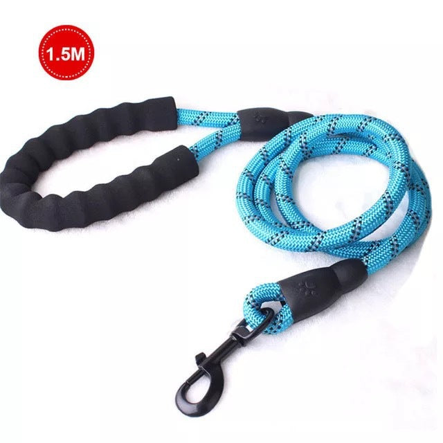 Luminous Dog Leash Chain For Small And Medium Breeds