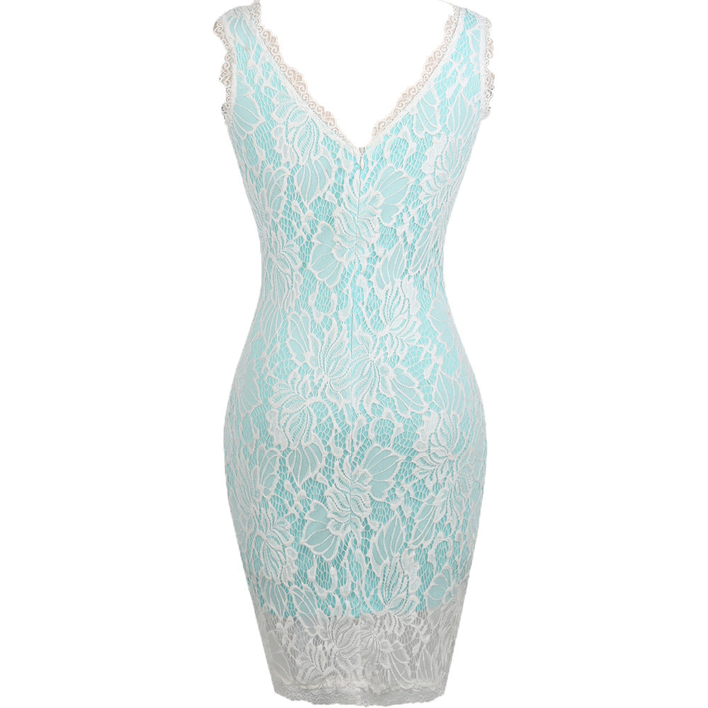 Embroidered Lace Sleeveless Sheath Dress