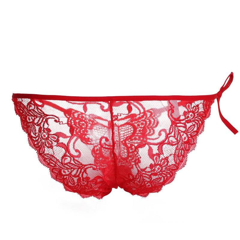 Lacy Embroidered Butterfly Tie Panty