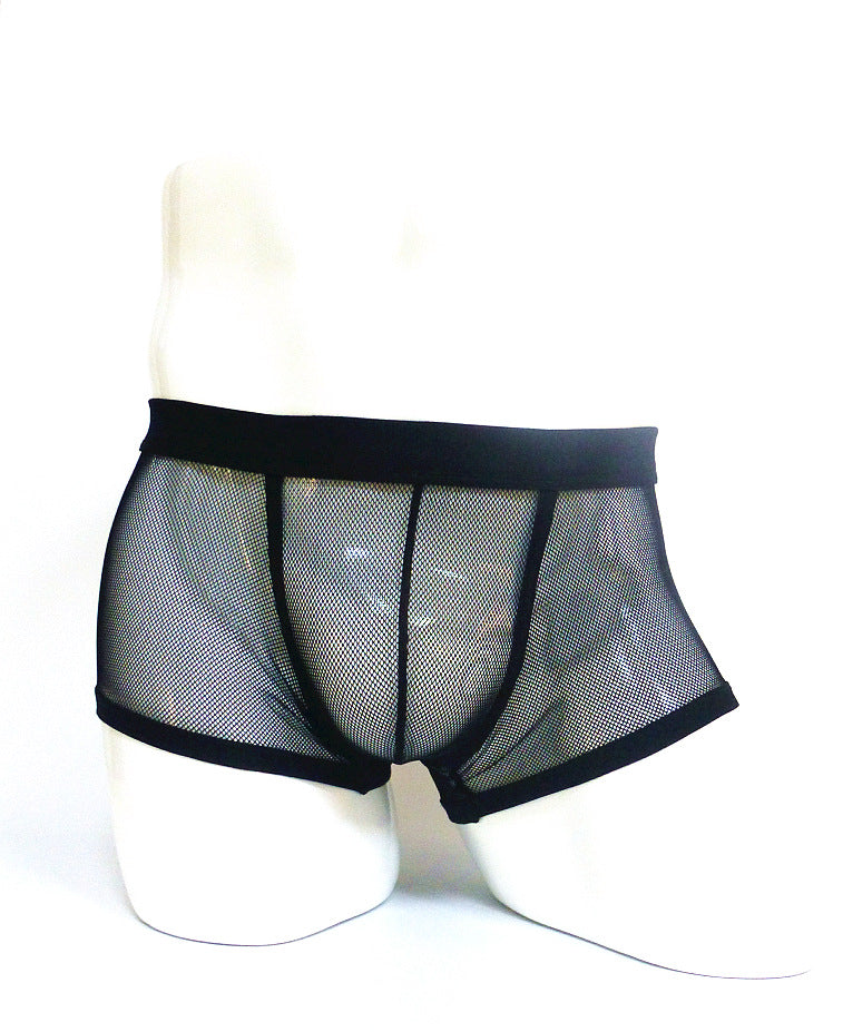 Sheer Mesh Boxer Briefs