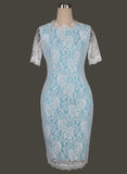 Lace Overlay Scallop Neck Mheath Dress