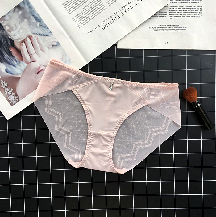 Classic Silky Briefs with Semi Transparent Back-Light Pink-Theone Apparel