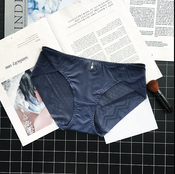 Classic Silky Briefs with Semi Transparent Back-Grayish Blue-Theone Apparel